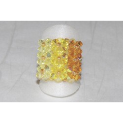 Ring 23 f